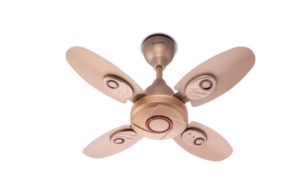 Candes Nexo 600 mm / 24 inch High Speed Ceiling Fan | Energy Efficient (BEE Star Rated) | Powerful Air Delivery | Ideal for Kitchen, Balcony & Small Rooms | Golden Finish | 1+1 Year Warranty